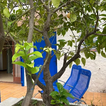 Carmen A 2 Pas De La & Des Commerces Argelès-sur-Mer